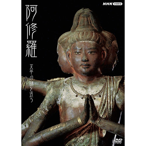 阿修羅 ~天平の謎を追う~ DVD