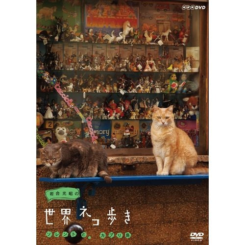 岩合光昭の世界ネコ歩き ソレントとカプリ島 DVD -NHKグループ公式通販 - NHKグループモール