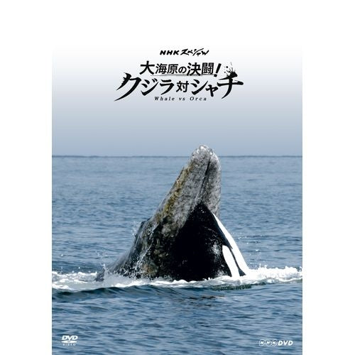 NHKスペシャル 大海原の決闘! クジラ対シャチ DVD
