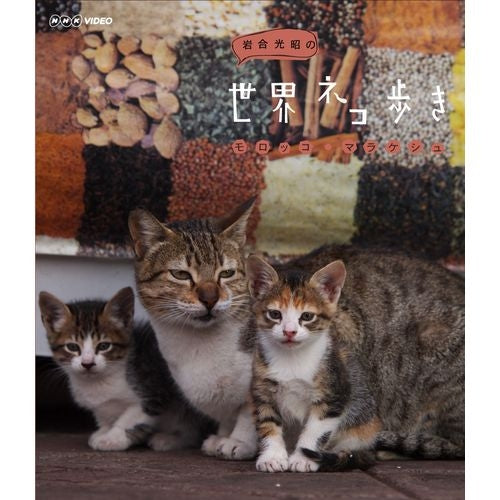岩合光昭の世界ネコ歩き モロッコ・マラケシュ ブルーレイ