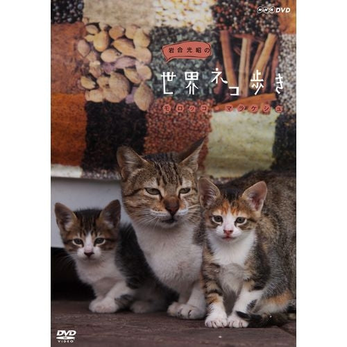 岩合光昭の世界ネコ歩き モロッコ・マラケシュ DVD