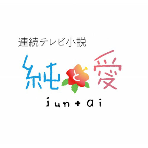 連続テレビ小説 純と愛 総集編 DVD 全2枚
