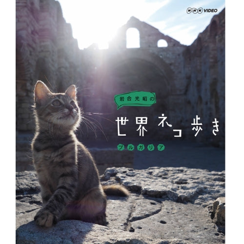 岩合光昭の世界ネコ歩き ブルガリア ブルーレイ