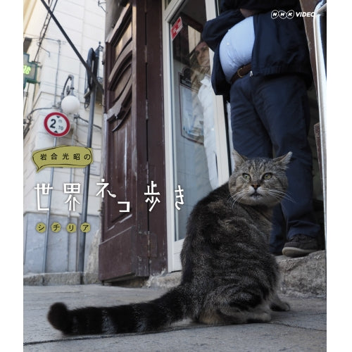 岩合光昭の世界ネコ歩き シチリア ブルーレイ