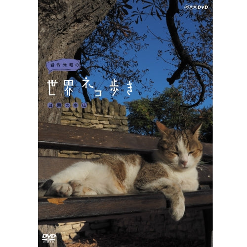 岩合光昭の世界ネコ歩き 田園の南仏 DVD