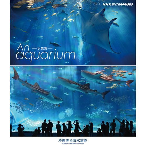 An Aquarium -水族館 - 沖縄美ら海水族館 ブルーレイ