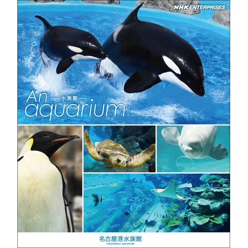 An Aquarium -水族館 - 名古屋港水族館 ブルーレイ