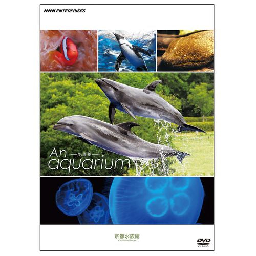An Aquarium -水族館 - 京都水族館 DVD