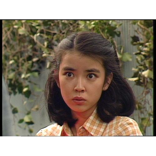 胡桃の部屋 DVD-BOX 全2枚