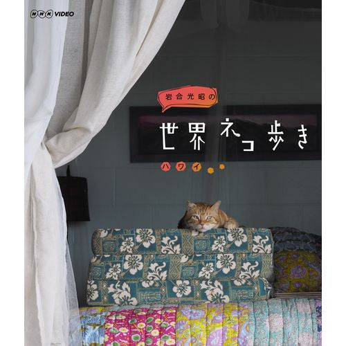 岩合光昭の世界ネコ歩き ハワイ ブルーレイ-NHKグループ公式通販 - NHKグループモール