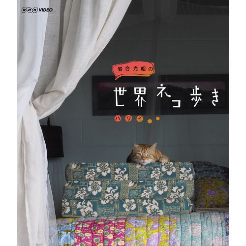 岩合光昭の世界ネコ歩き ハワイ ブルーレイ