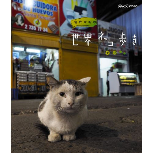 岩合光昭の世界ネコ歩き チリ ブルーレイ