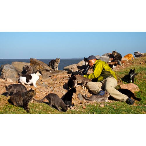 岩合光昭の世界ネコ歩き ウルグアイ ブルーレイ