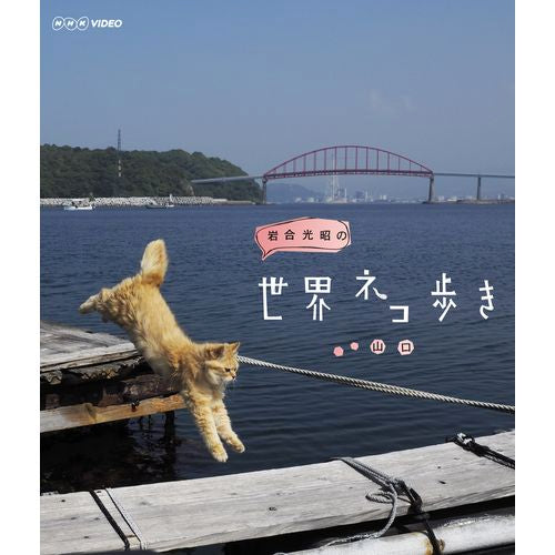 岩合光昭の世界ネコ歩き 山口 ブルーレイ