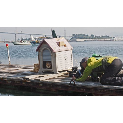 岩合光昭の世界ネコ歩き 山口 ブルーレイ