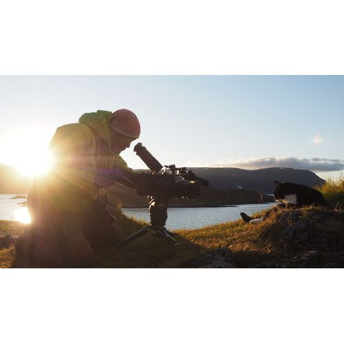 岩合光昭の世界ネコ歩き ノルウェー ブルーレイ