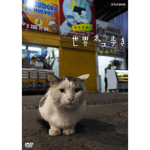 岩合光昭の世界ネコ歩き チリ DVD