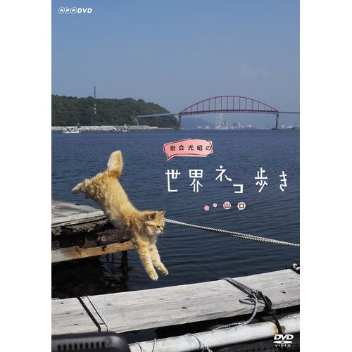 岩合光昭の世界ネコ歩き 山口 DVD