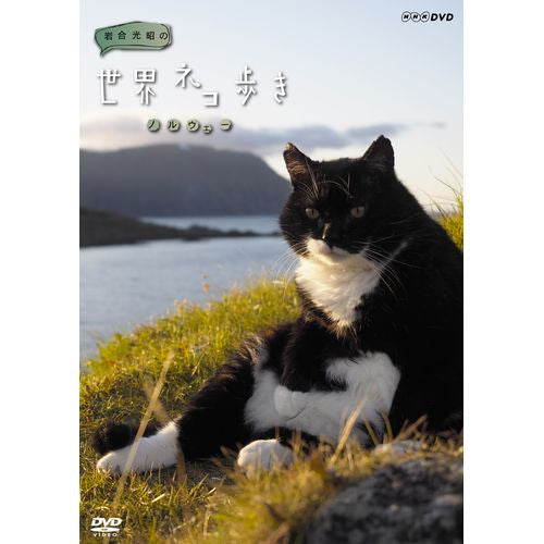 岩合光昭の世界ネコ歩き ノルウェー DVD