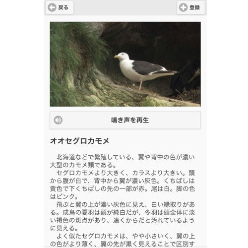 日本の野鳥 鳴き声映像図鑑 DVD