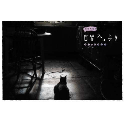 岩合光昭の世界ネコ歩き スコットランド DVD