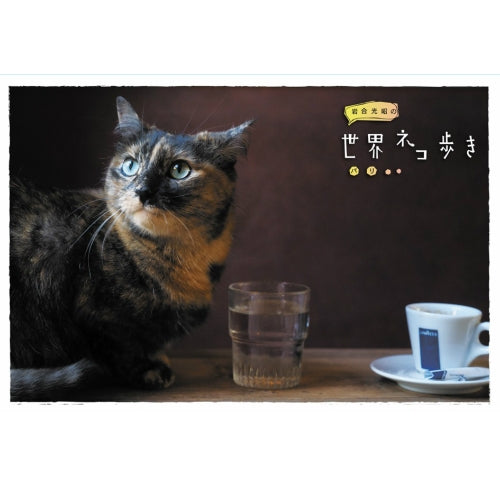 岩合光昭の世界ネコ歩き パリ ブルーレイ