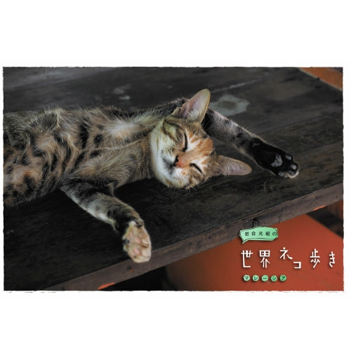 岩合光昭の世界ネコ歩き マレーシア DVD
