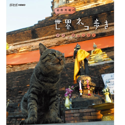 岩合光昭の世界ネコ歩き タイ・チェンマイ ブルーレイ