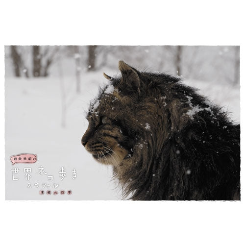 岩合光昭の世界ネコ歩き スペシャル 津軽の四季 DVD