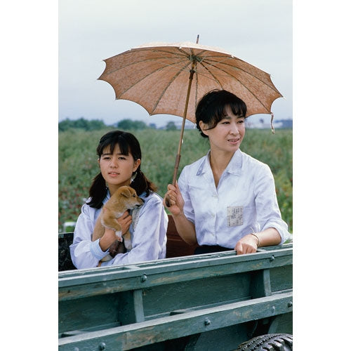大河ドラマ いのち 完全版 第壱集 DVD全7枚