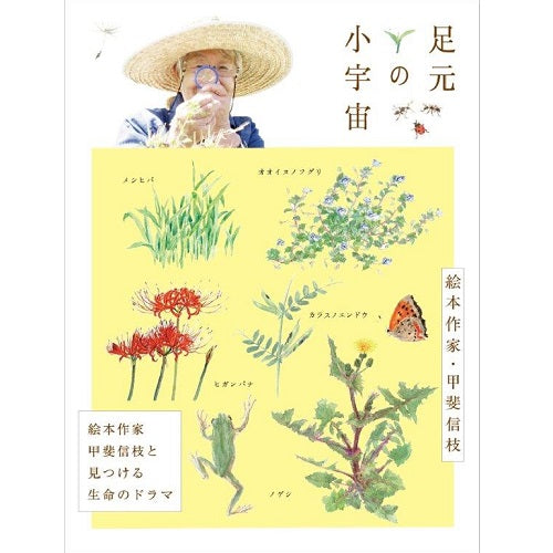 足元の小宇宙 ~絵本作家・甲斐信枝と見つける生命のドラマ~ DVD
