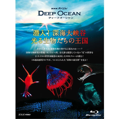 NHKスペシャル ディープ オーシャン 潜入!深海大峡谷 光る生物たちの王国 ブルーレイ