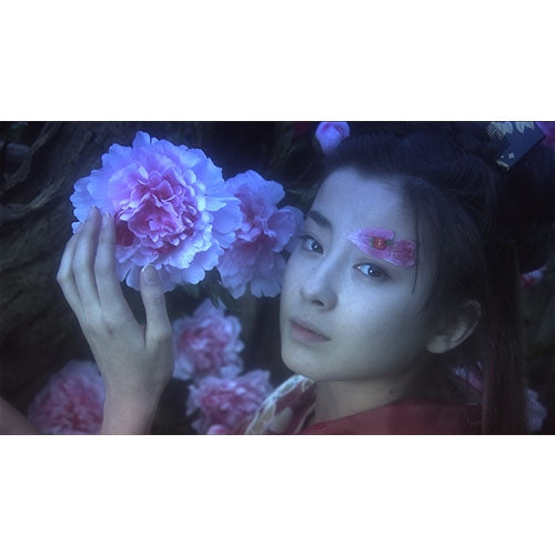 青春牡丹燈籠 DVD