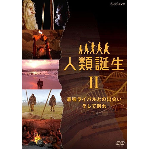 NHKスペシャル 人類誕生 最強ライバルとの出会い そして別れ DVD