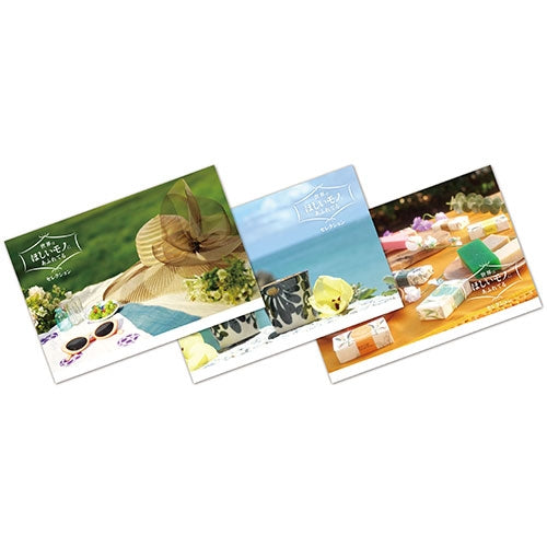 世界はほしいモノにあふれてる セレクション3 DVD