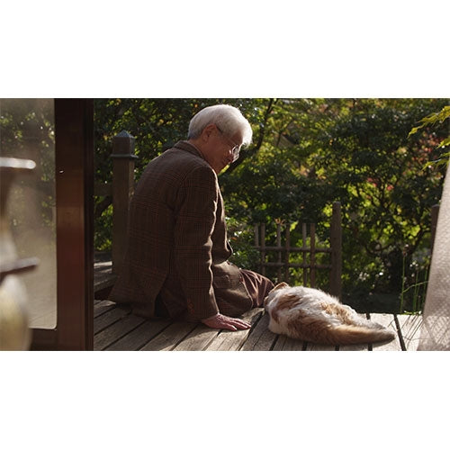 まいにち 養老先生、ときどき まる DVD 全2枚