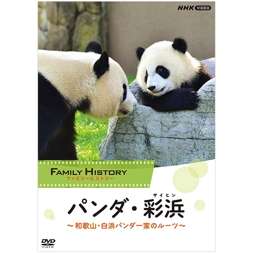 ファミリーヒストリー パンダ・彩浜(サイヒン)~和歌山・白浜パンダ一家のルーツ~ DVD