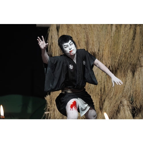 忠臣蔵狂詩曲No.5 中村仲蔵 出世階段 DVD 全2枚