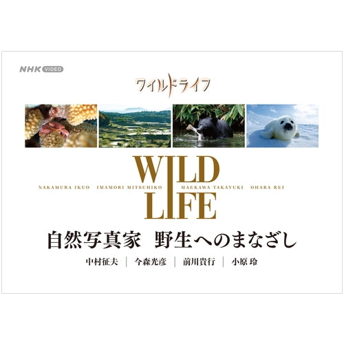 ワイルドライフ 自然写真家 野生へのまなざし ブルーレイBOX 全4枚