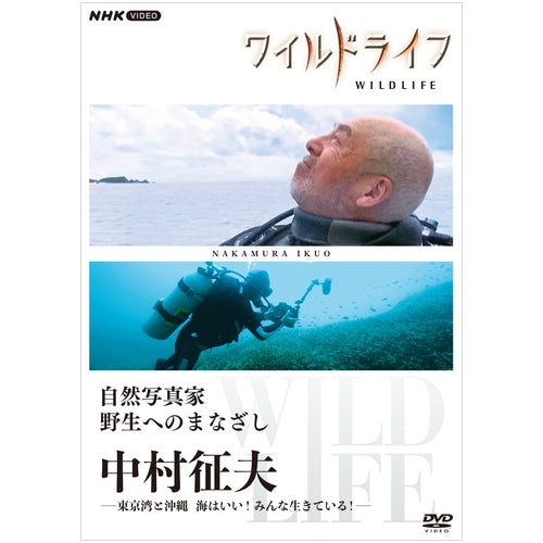 人気 nhk ワイルド ライフ dvd