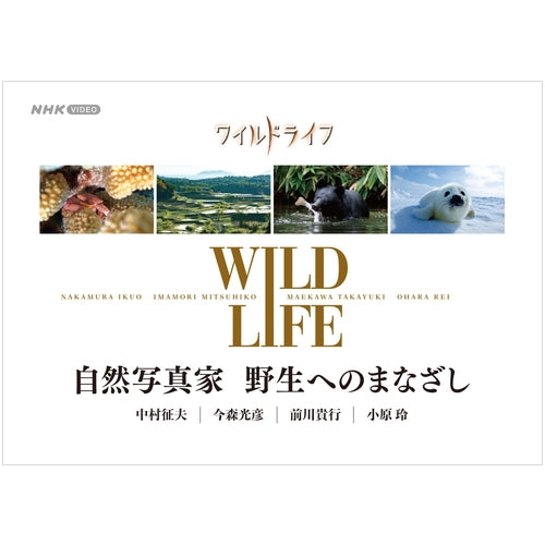 ワイルドライフ 自然写真家 野生へのまなざし DVD-BOX 全4枚 -NHKグループ公式通販 - NHKグループモール