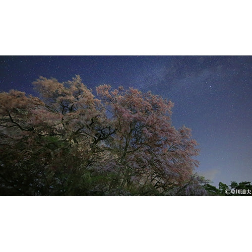 星空絶景2 ~知られざる夜の世界~ ブルーレイ