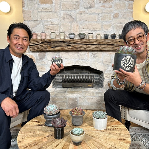 趣味の園芸 これ、かっこイイぜ!vol.2 滝藤賢一が無我夢中! お宝多肉植物 DVD