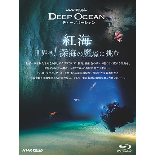 NHKスペシャル ディープオーシャン 紅海 世界初!深海の魔境に挑む ブルーレイ