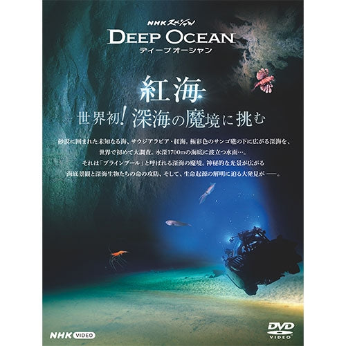 NHKスペシャル ディープオーシャン 紅海 世界初!深海の魔境に挑む DVD