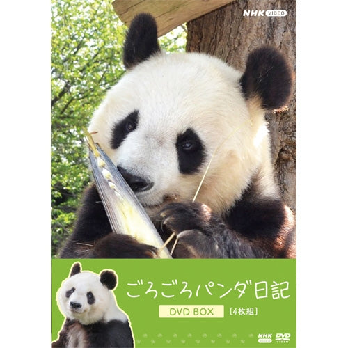 ごろごろパンダ日記 DVD BOX〈4枚組〉 通常版】ごろごろパンダ日記 DVD BOX 全4枚 -NHKグループ公式通販