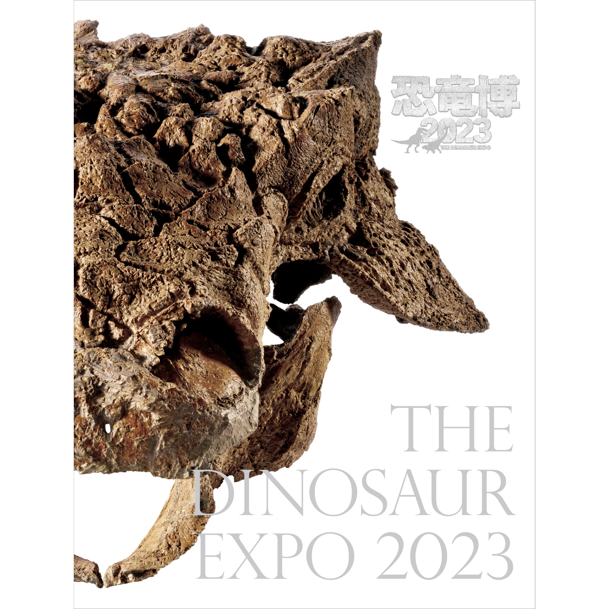 特別展「恐竜博2023」図録- NHKグループ公式通販 - NHKグループ 