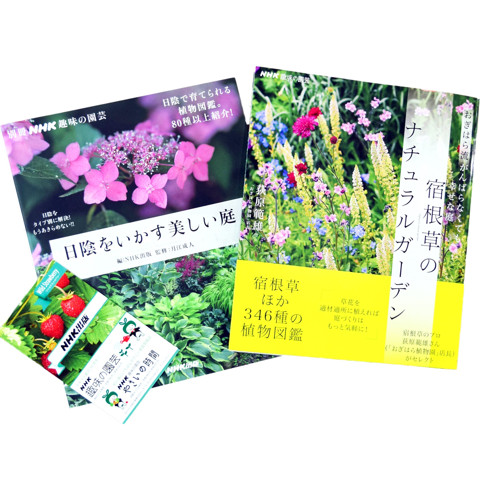 ガーデニングを楽しむ書籍セット 「趣味の園芸」編集長のイチ推し - NHKグループ公式通販 - NHKグループモール