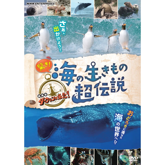 驚き!海の生きもの超伝説 劇場版ダーウィンが来た! DVD