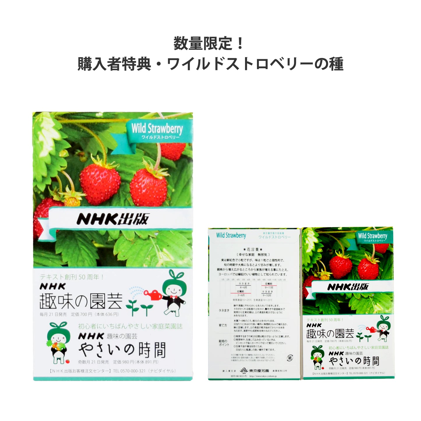 バラ好きのあなたに!木村卓功Bセット~NHK出版「趣味の園芸」編集長のイチ推し